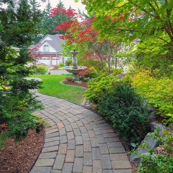 Winnipeg Lawn Care Experts
